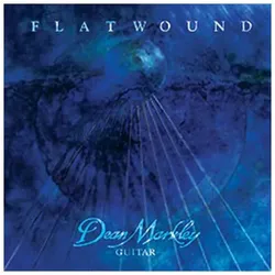 Dean Markley 2536 MED Flatwound Electric