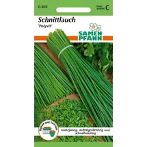 Samen Pfann Kräutersamen Schnittlauch, Polyvit - Gewürz Saatgut Schnittlauch-Samen, Allium schoenoprasum grün