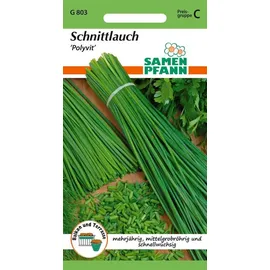 Samen Pfann Kräutersamen Schnittlauch, Polyvit - Gewürz Saatgut Schnittlauch-Samen, Allium schoenoprasum grün