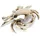 Nklaus 18x13x4cm Aschenbecher - Krabbe Messing gold massiv Deckel Aschenbecher maritim für Boot und Terrasse 11508