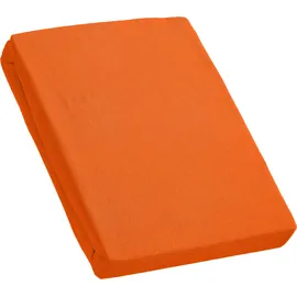 Kinzler Spannbettlaken Mikrofaser-Frottee 90 x 190 - 100 x 200 cm terra, 2 St.