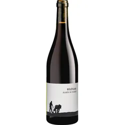 Alexander Pflüger Hand in Hand Qualitätswein Pfalz 2022, Bio Rotwein, Biowein