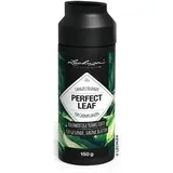 LECHUZA Perfect Leaf 150 g