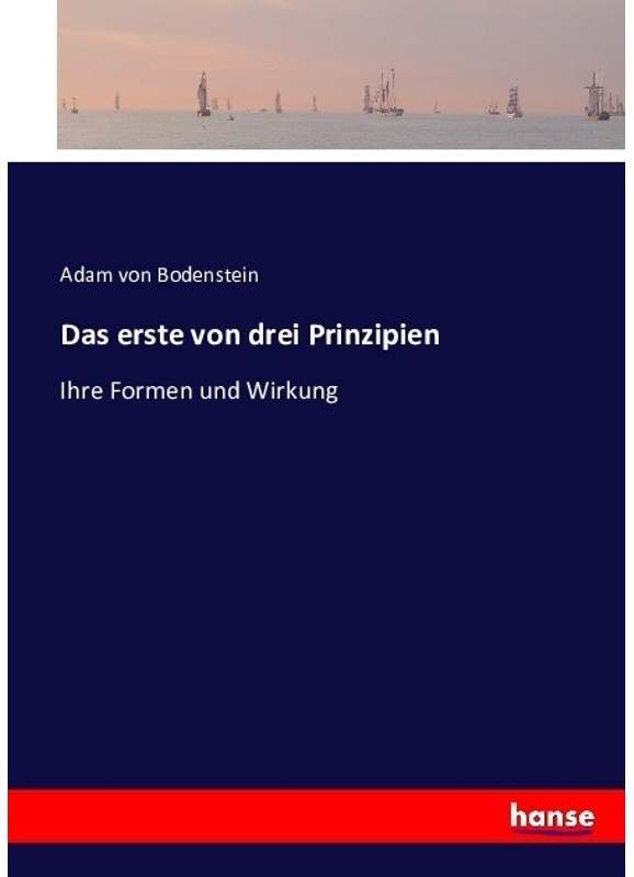 Das Erste Von Drei Prinzipien - Adam von Bodenstein, Kartoniert (TB)