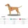 Hunter Aalborg Hundehalsband Braun XS