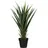 Paperflow meet powered by PAPERFLOW YUCCA Kunstpalme 60,0 cm