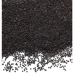 Bio-Rapssamen, 1 kg