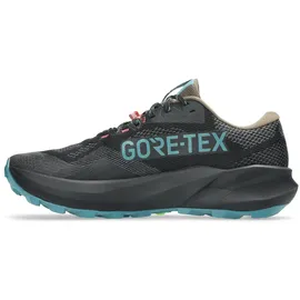 Asics Trabuco 14 GTX Herren Trailrunningschuhe schwarz
