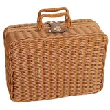 Gewebte Picknickbox, Kunststoff Rattan Koffer Picknickkorb mit Griffen und Metallschloss für Outdoor Camping, Foto Requisite(M-Braun)
