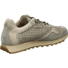 CETTI Sneaker Low Herren Grün 43