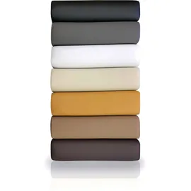 Betten-ABC Bubema Polster-Steckkissen 2er-Set 40 x 20 cm Braun