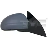 TYC Außenspiegel 317-0033