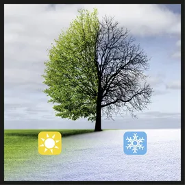 Einhell Streuwagen GE-US 18 Li-Solo