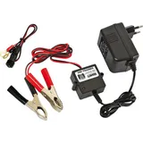 Uni Trainer, automatischer Trainer für Batterien 12V - 300 mA