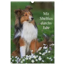 Calvendo Mit Shelties durchs Jahr (Wandkalender 2026 DIN A3 hoch), CALVENDO Monatskalender: