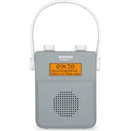 TechniSat DigitRadio 30 grau
