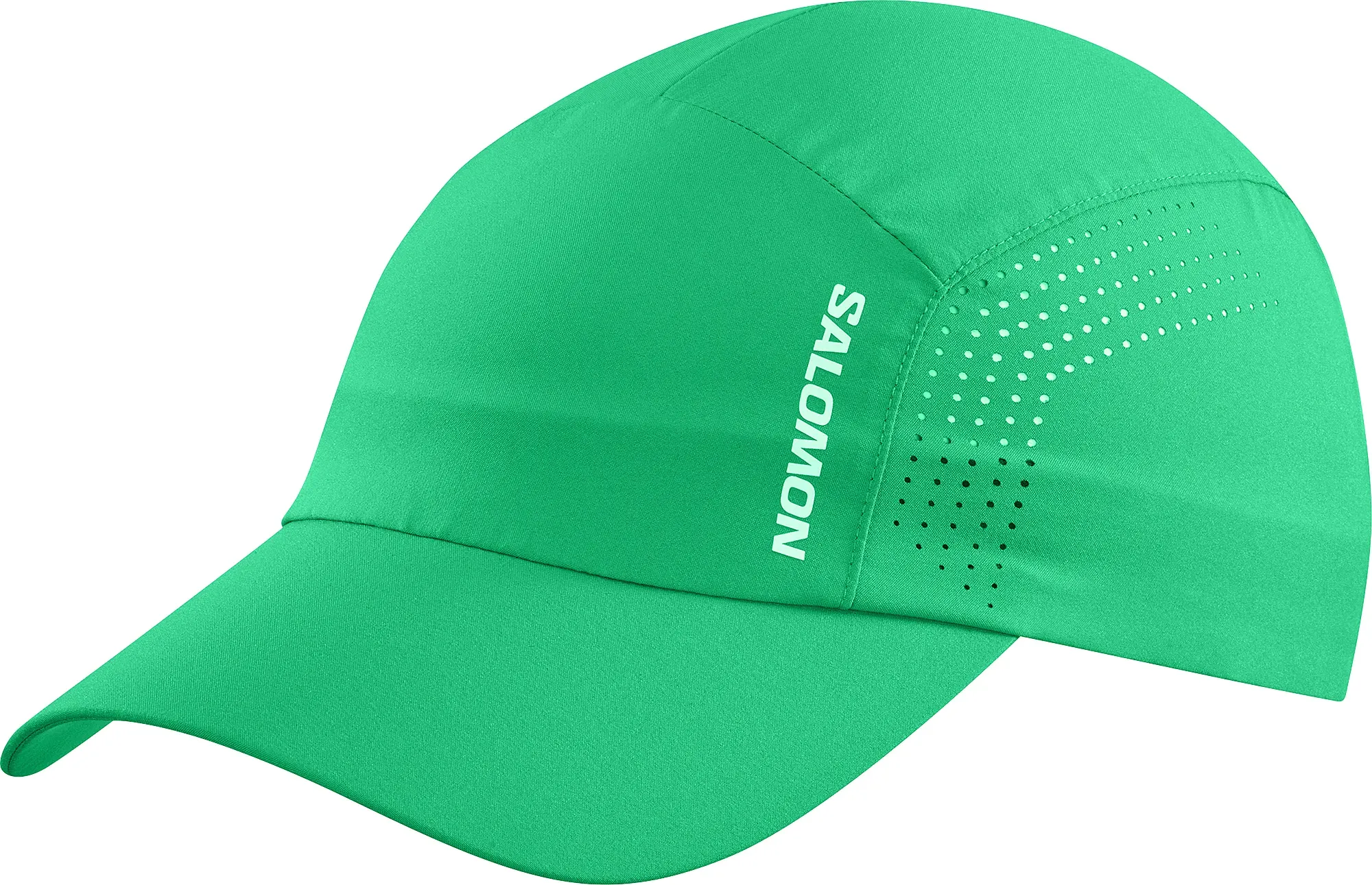 Salomon Schirmkappe Cap Shakeout - grün / ONE SIZE