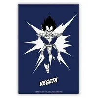 The Good Gift Dragon Ball Z Magnet Pop Color