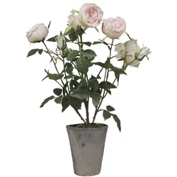 Chic Antique Fleur Rosenstrauch im Keramiktopf, H52 cm, rosa