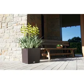 LECHUZA Cube Cottage 40 Komplettset 40 x 40 x 40 cm mokka