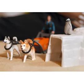 Schleich Wild Life Antarktis Expedition 42558
