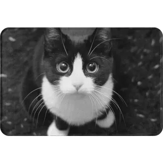 IUBBKI Fußmatte, 40 x 60 cm, Schwarz-Weiß, Katzen-Bodenmatte, kreative Fußmatte, weiche Bodenmatte für Büro, Flur, Eingang