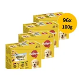 PEDIGREE Junior Frischebeutel Multipack - x 100 g Gemischte Selektion in Gelee (4 Varietäten)