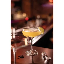 Schott Zwiesel Echo Cocktailschale 0,277 l 4 St.