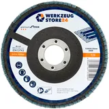 WS24 10x Lamellenschleifscheibe 125 mm gewölbt Zirkonkorund K 60 - WS24-100055