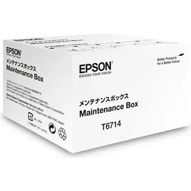 Epson C13T671400