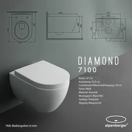 Alpenberger Dusch WC mit Bidet Funktion Weiß
