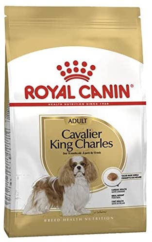 royal canin cavalier