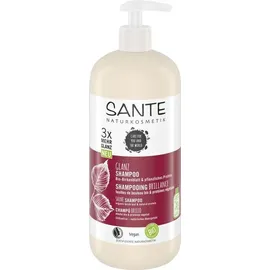 Sante Glanz Shampoo Bio-Birkenblatt & Pflanzliches Protein 500 ml