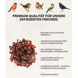 dehner natura premium Wildvogelfutter, Rosinen