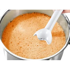 Bosch MSM6B150 Stabmixer