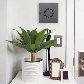 Rottner Tresor ROTTNER Key Point 10 Schlüsselkasten schwarz mit 10 Haken