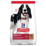 Hill's Science Plan Medium Adult Lamm & Reis 14 kg