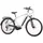 Saxonette Quantum Sport 48 cm 28 Zoll Unisex silber