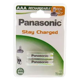 Panasonic Ready to Use Dect Micro 2 St.