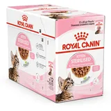 Royal Canin Kitten Sterilised Gelee 12 x 85 g