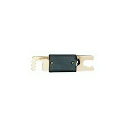 PHONOCAR Industrievertretung Frank Walter ANL Sicherung 100 Ampere [1 Stk.]  04538