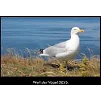 Vero Kalender Welt der Vögel 2026 Fotokalender DIN A3