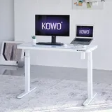 KOWO Elektrisch Hoehenverstellbarer Schreibtische Glas Bürotisch 120x60 cm mit Wireless Charger & mit Smartem Touchpad und USB-A & C Weiß - Weiß