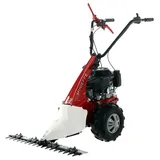 Eurosystems Minieffe RM  Mehrzweckgerät Balkenmäher  Loncin L200 OHV