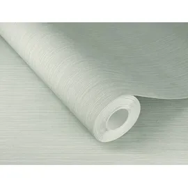 Rasch Textil Vliestapete Curiosity 10,05 m x 0,53 m 537659 Hellgrün