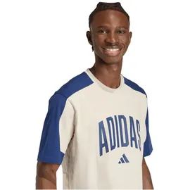 adidas Collegiate T-Shirt Herren T-Shirt, braun - 3XL