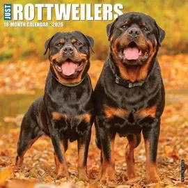 Willow Creek Press Rottweilers 2026 Wall Calendar
