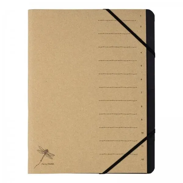 Pagna 40061-11 Tab-Register Konventioneller Dateiordner Karton Braun