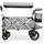 FUXTEC Fuxlife Luxus Bollerwagen FX-CTL950 Premium Grau