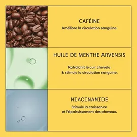 Wella Nioxin Scalp + Hair System 1 Treatment 100 ml